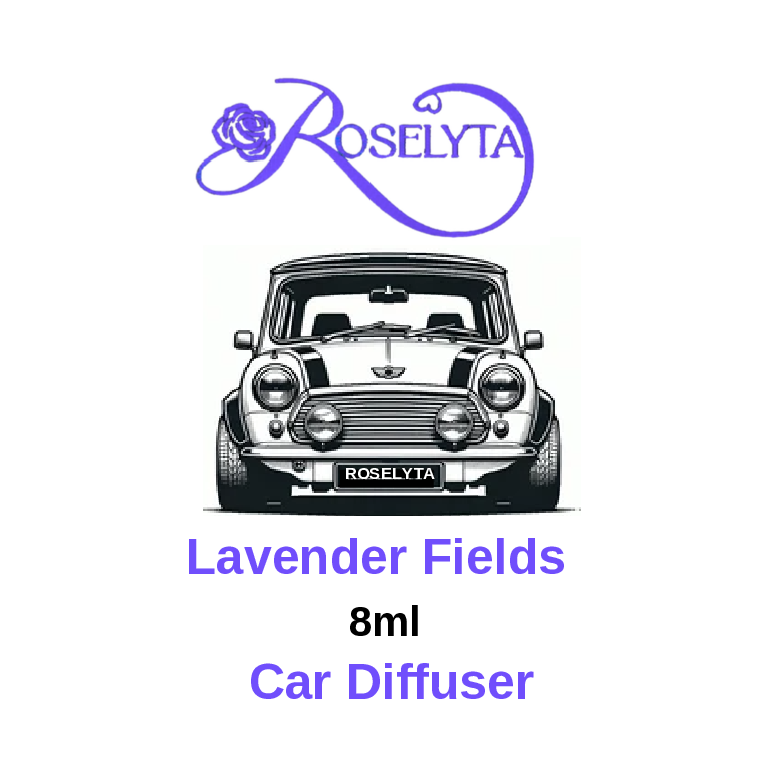 Car Diffusers