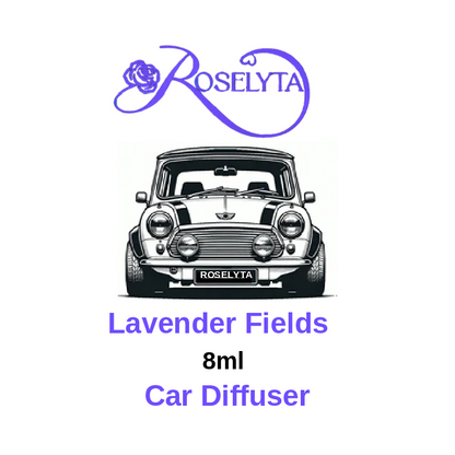 Car Diffusers