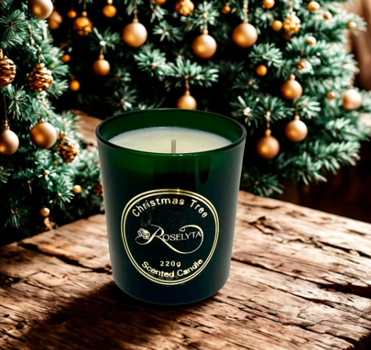 Christmas orange Scented Candle